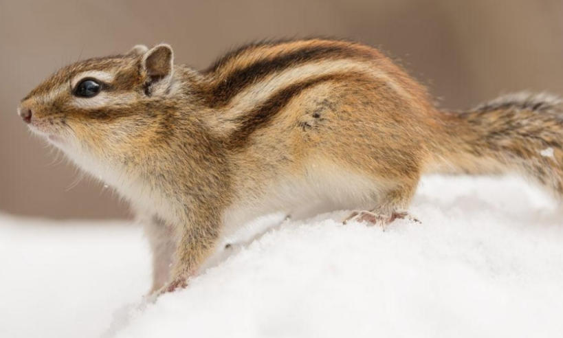 浙江弘柒商貿發展有限公司輪播圖5